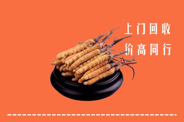 高价求购：大兴区回收散虫草