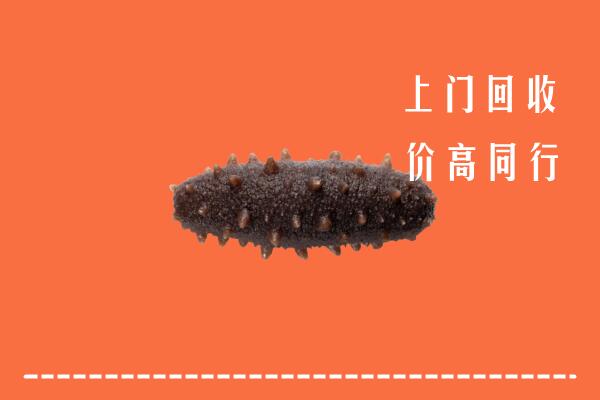 高价求购：大兴区回收海参