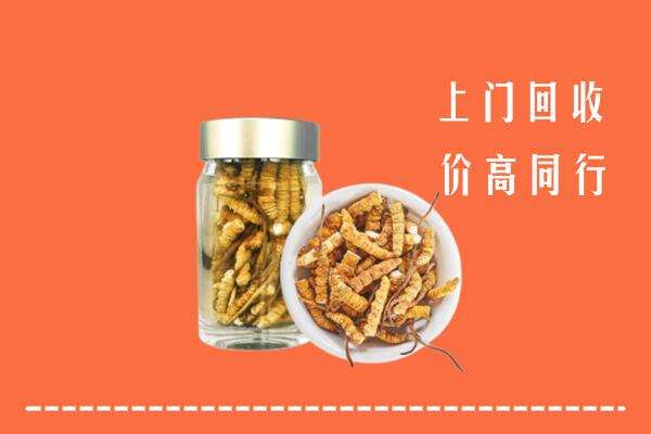 大兴区回收冬虫夏草